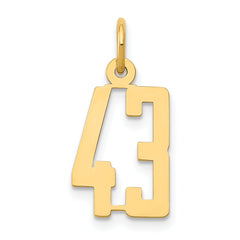 14k Small Elongated Number 43 Charm