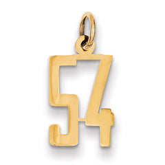 14k Small Elongated Number 54 Charm