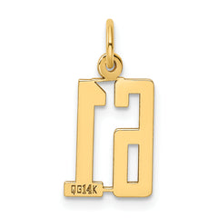14K Gold Polished Elongated 61 Charm Small, Laser Cut