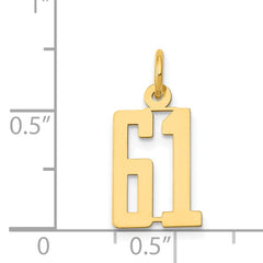 14K Gold Polished Elongated 61 Charm Small, Laser Cut
