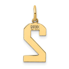 14K Gold Polished Number 2 Charm with Laser Cut Design