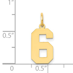 14K Gold Polished Number 6 Charm with Laser Cut Design