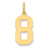 14k Medium Polished Number 8 Charm