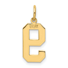 14K Gold Polished Number 9 Charm Laser Cut Medium