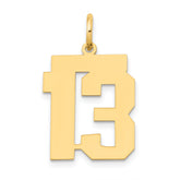 14k Medium Polished Number 13 Charm