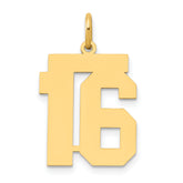 14k Medium Polished Number 16 Charm