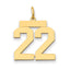 14k Medium Polished Number 22 Charm