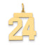 14k Medium Polished Number 24 Charm