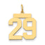 14k Medium Polished Number 29 Charm