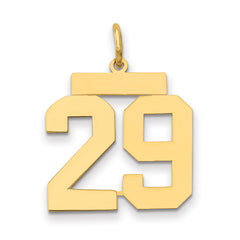 14k Medium Polished Number 29 Charm