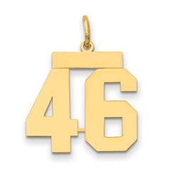 14k Medium Polished Number 46 Charm