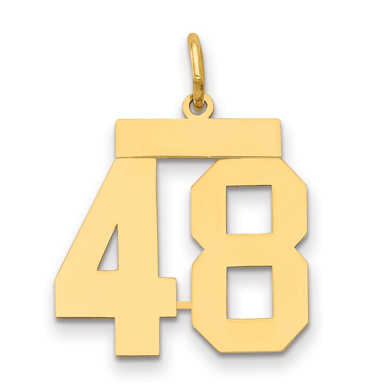 14k Medium Polished Number 48 Charm