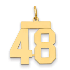 14k Medium Polished Number 48 Charm