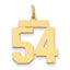 14k Medium Polished Number 54 Charm
