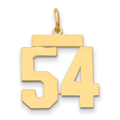14k Medium Polished Number 54 Charm