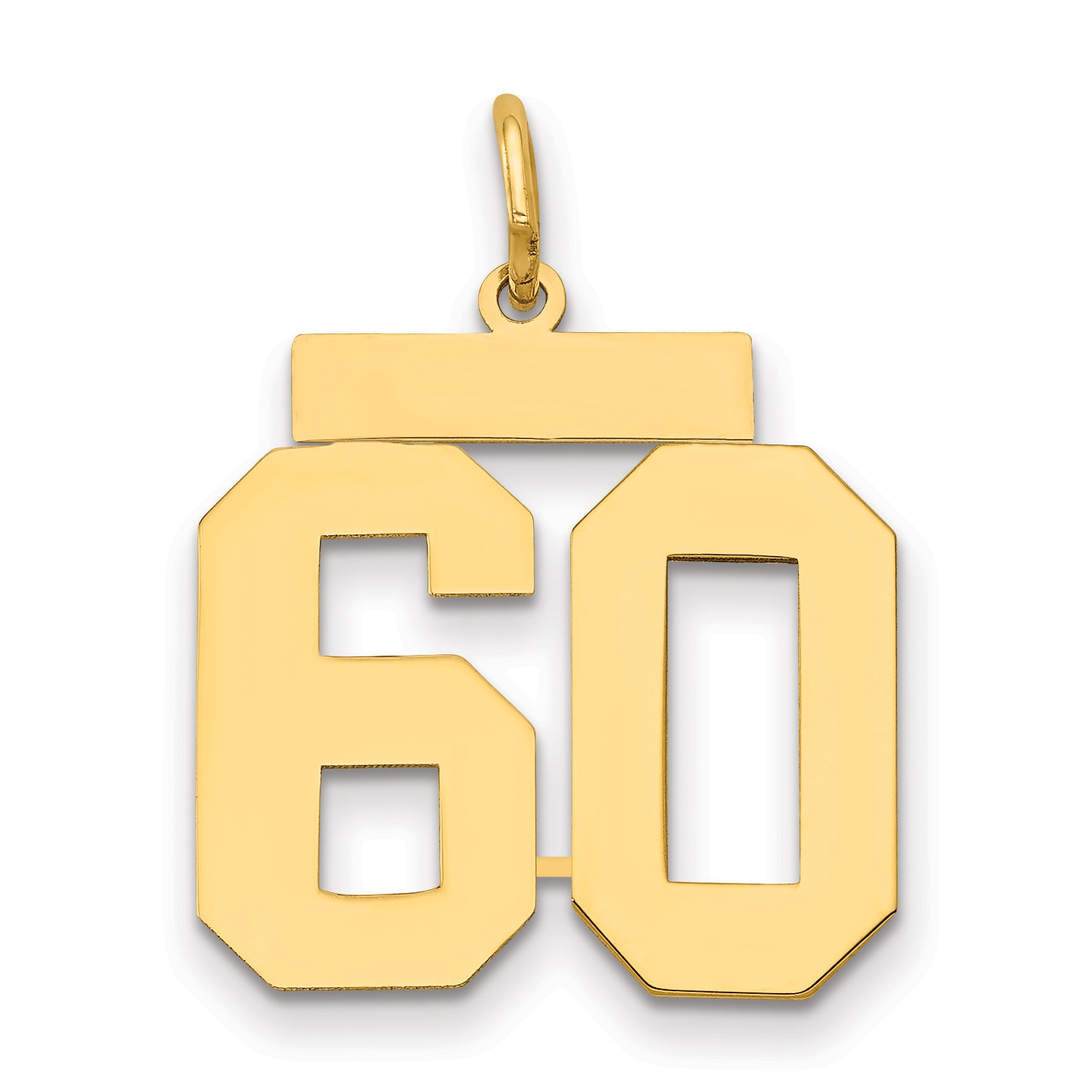 14k Medium Polished Number 60 Charm