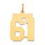 14k Medium Polished Number 61 Charm