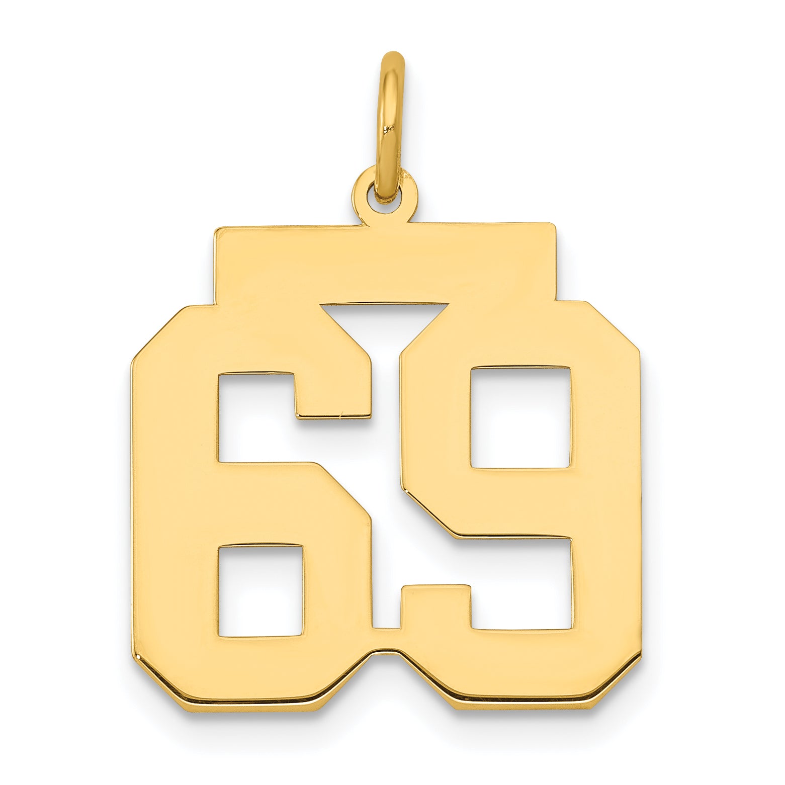 14k Medium Polished Number 69 Charm