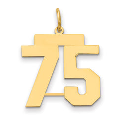 14k Medium Polished Number 75 Charm