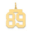 14k Medium Polished Number 89 Charm