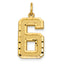 Large Number 6 Charm in 14K Yellow Gold, 20mm Brushed - Sophia Jewelers