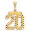14k Large Brushed Diamond-cut Number 20 Charm