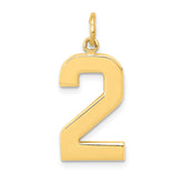 14k Large Polished Number 2 Charm
