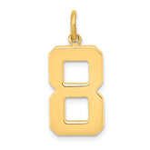 14k Large Polished Number 8 Charm