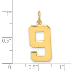 14k Large Polished Number 9 Charm