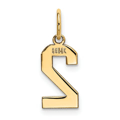 14K Gold Polished Number 2 Charm Small, Elegant Laser-Cut Design