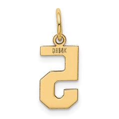 14K Gold Polished Number 5 Charm Small Elegant Laser-Cut Design
