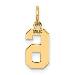14K Gold Polished Number 6 Charm Elegant Small Pendant