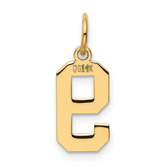 14K Gold Small Polished Number 9 Charm Elegant Laser-Cut Design