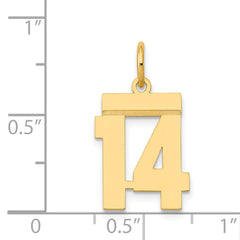 14K Gold Polished Number 14 Charm Laser-Cut Small Pendant