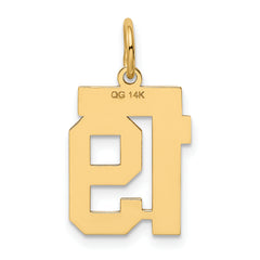 14K Gold Polished Number 19 Charm with Laser Cut Design