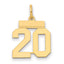 14k Small Polished Number 20 Charm