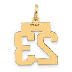 14K Gold Polished Number 23 Charm Laser Cut, Small, Elegant Design