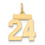 14k Small Polished Number 24 Charm