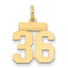 14k Small Polished Number 36 Charm