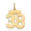 14k Small Polished Number 38 Charm