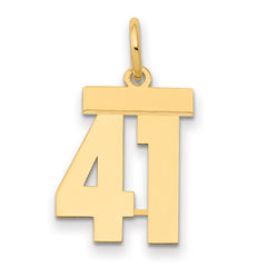 14k Small Polished Number 41 Charm