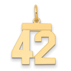14k Small Polished Number 42 Charm