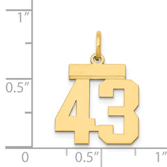 14K Gold Small Polished Number 43 Charm Laser Cut Yellow Gold Theme