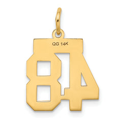 14K Gold Polished Number 48 Charm Laser Cut Small
