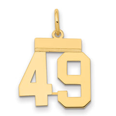 14k Small Polished Number 49 Charm