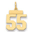 14k Small Polished Number 55 Charm