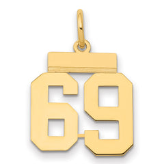 14k Small Polished Number 69 Charm