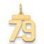 14k Small Polished Number 79 Charm
