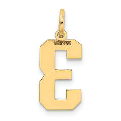 14K Gold Satin Number 3 Charm with Brushed Finish Medium Size