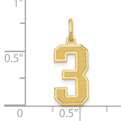 14K Gold Satin Number 3 Charm with Brushed Finish Medium Size